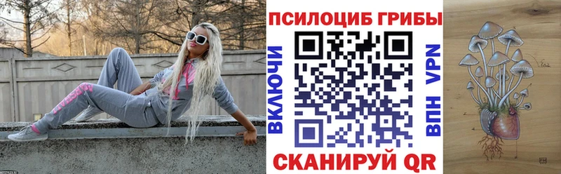 что такое   Губкин  Галлюциногенные грибы Psilocybe 