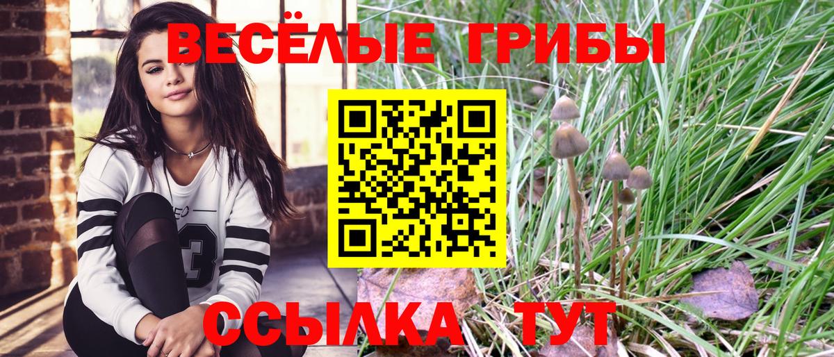 Псилоцибиновые грибы Psilocybine cubensis Губкин