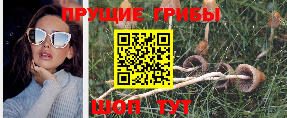 Галлюциногенные грибы ЛСД  Псилоцибиновые грибы Magic Shrooms  Губкин 