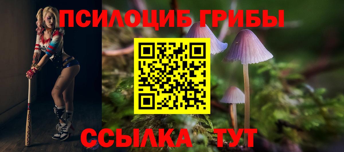 Галлюциногенные грибы мицелий  Галлюциногенные грибы GOLDEN TEACHER  Губкин  купить наркотики сайты  Вход с VPN 