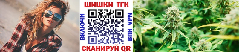 KRAKEN зеркало  Губкин  Шишки марихуана сатива 
